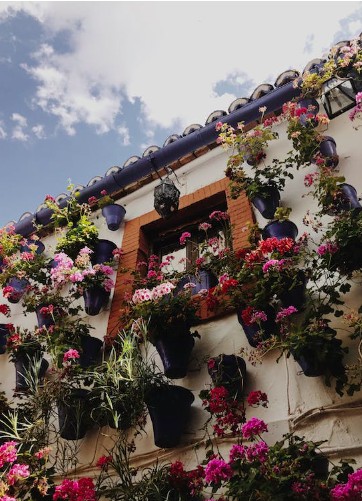 Window Decoration Ideas