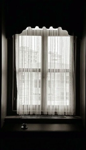 Window Decoration Ideas