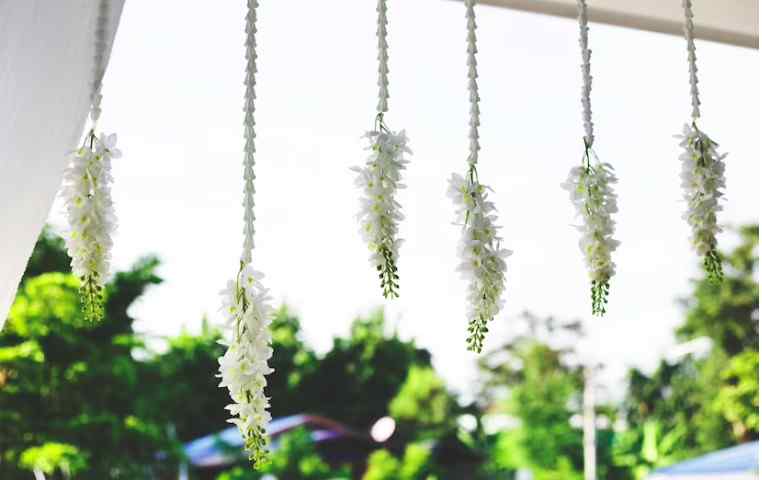 Window Decoration Ideas