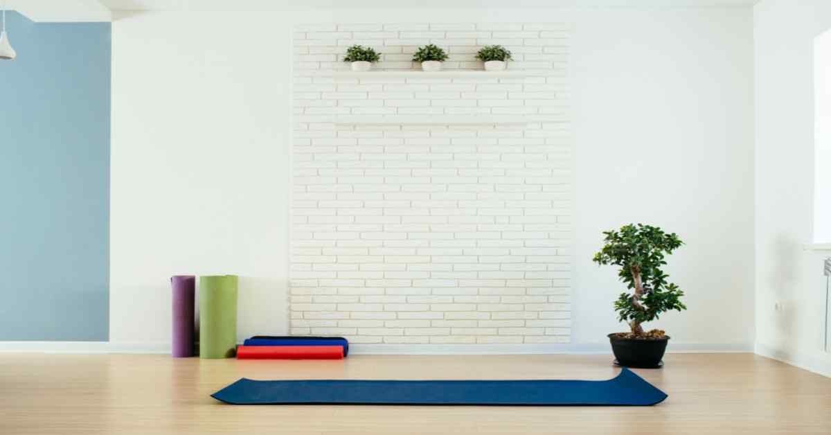 Yoga Room Designs: Relaxing Yoga Room Decoration Ideas 2024