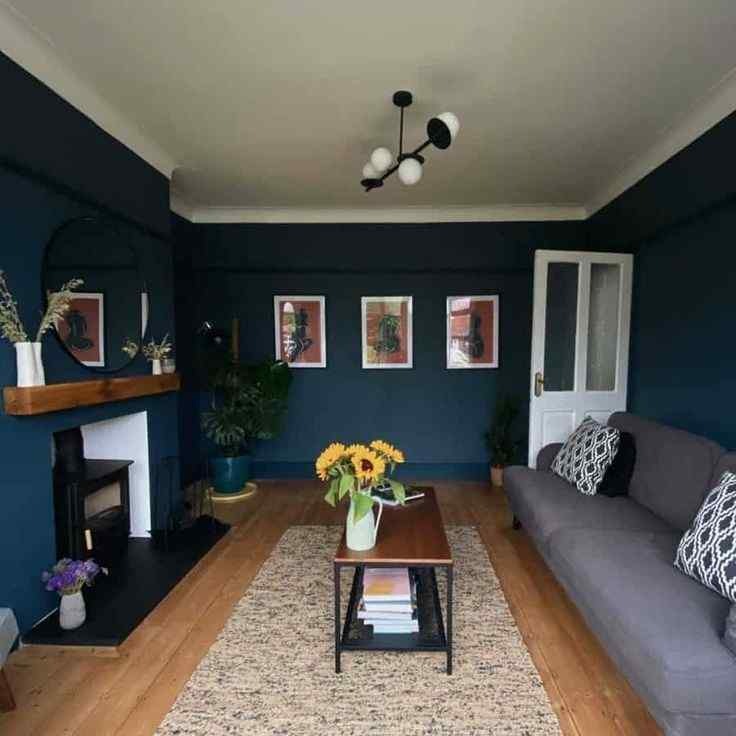 Blue Colour Wall Paint Design