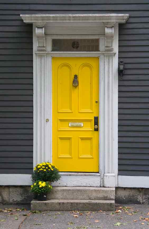 Door Colour Combination