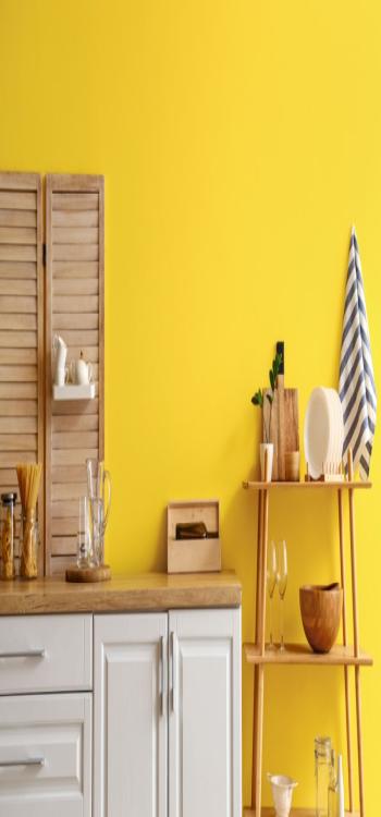 Mustard Yellow Colour Combinations For Your Walls 2024
