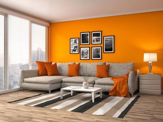 Living Room Colour Combinations