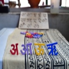 category image