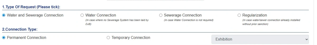 Request type and connection type selection on the DJB portal