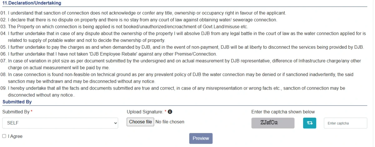 Signature upload and declaration section in the DJB form