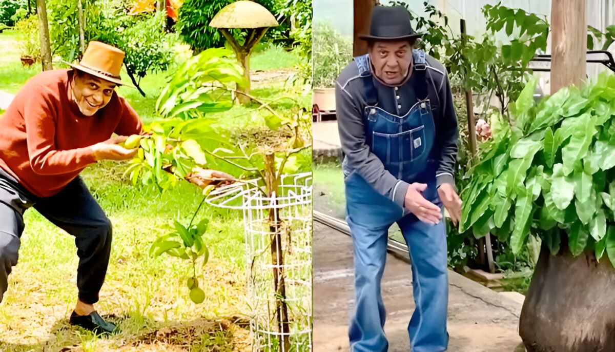 dharmendra farmhouse