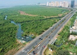 What is the rate on palm Beach Road sector 6 nerul, pin 400706.