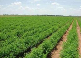 Whether somebody having agriculture land of 10-25 acres in and around Bangalore with a distance limit of 200km