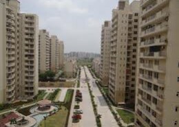 How is CHD Avenue Sector 21? Thinking to finalise a rental apartment here.