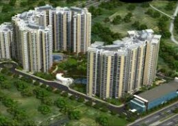 I want to buy a 3bhk flat in NCR my budget is 50 lakhs. please tell me the best option: Greater Noida West or Greater Noida?
