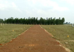 I waiting to sell my plots in Thiruvallur for a quite a long time, now it is right time to sell, can i get any assistance to sell my plots