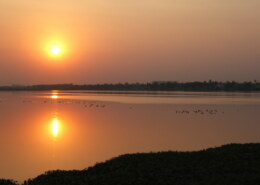 Want shop in varthur