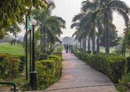 What is 1BHK rent in JP Nagar, Bangalore?