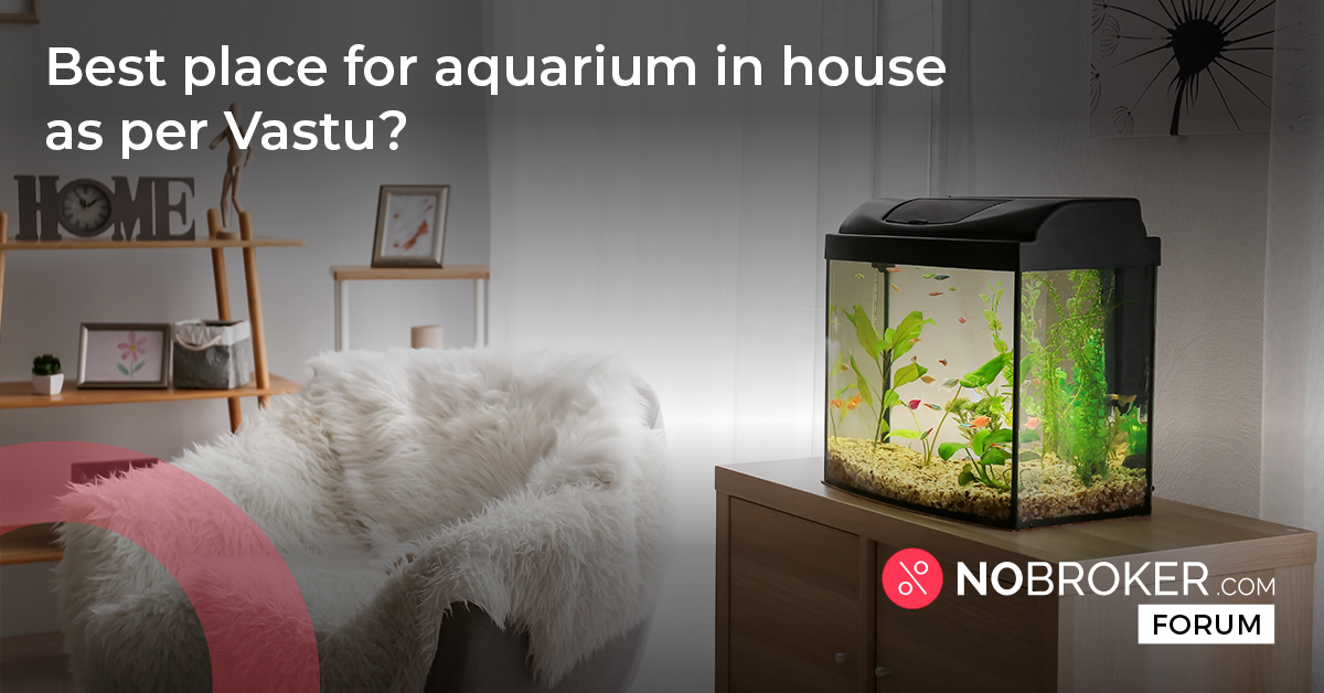 Fish Tank Vastu Where to Keep Aquarium in House According to Vastu