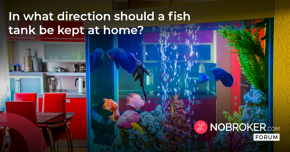 Best Place For Aquarium In House As Per Vastu Vastu Fish Tank Position