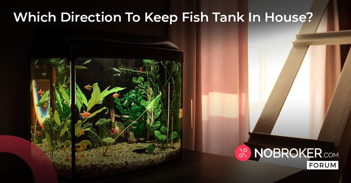 Best place for aquarium in house as per vastu? Vastu Fish Tank Position.