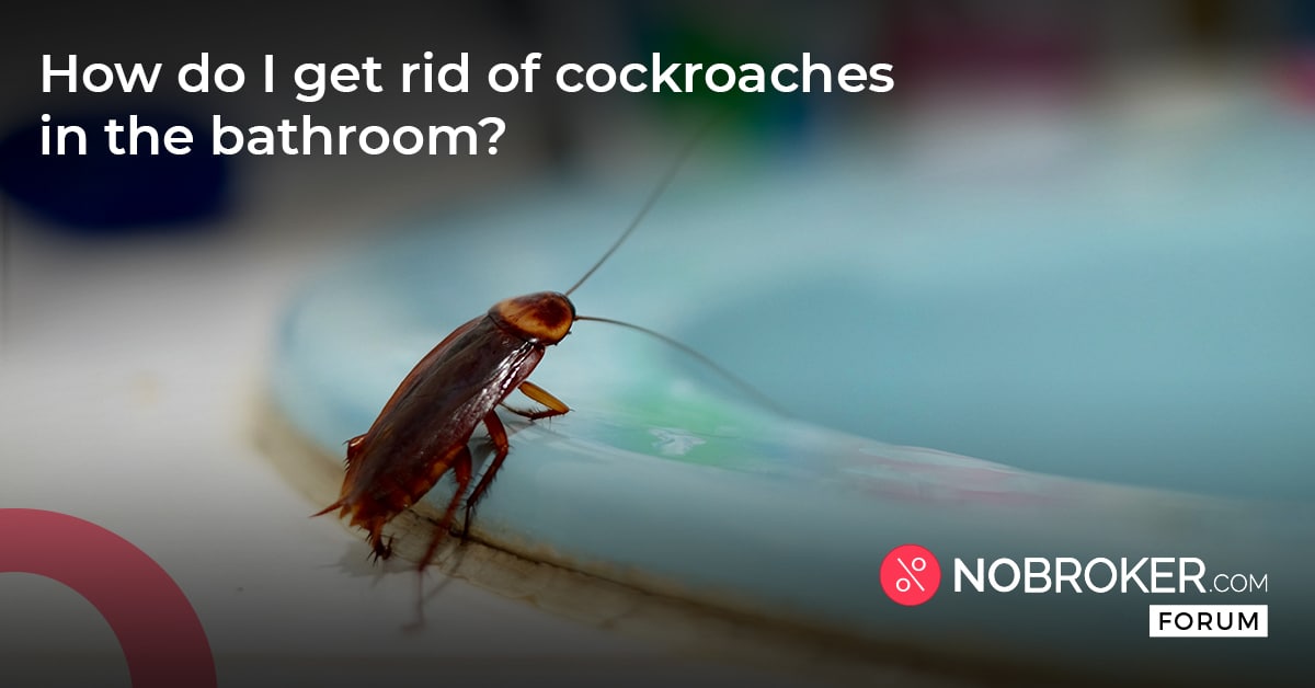 How to Get Rid of Cockroaches in Bathroom