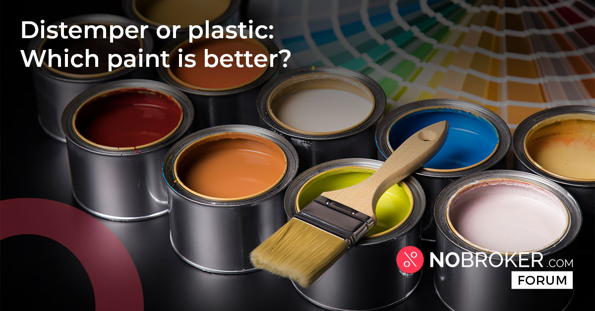 Distemper Vs Plastic Paint Comparison Benefits