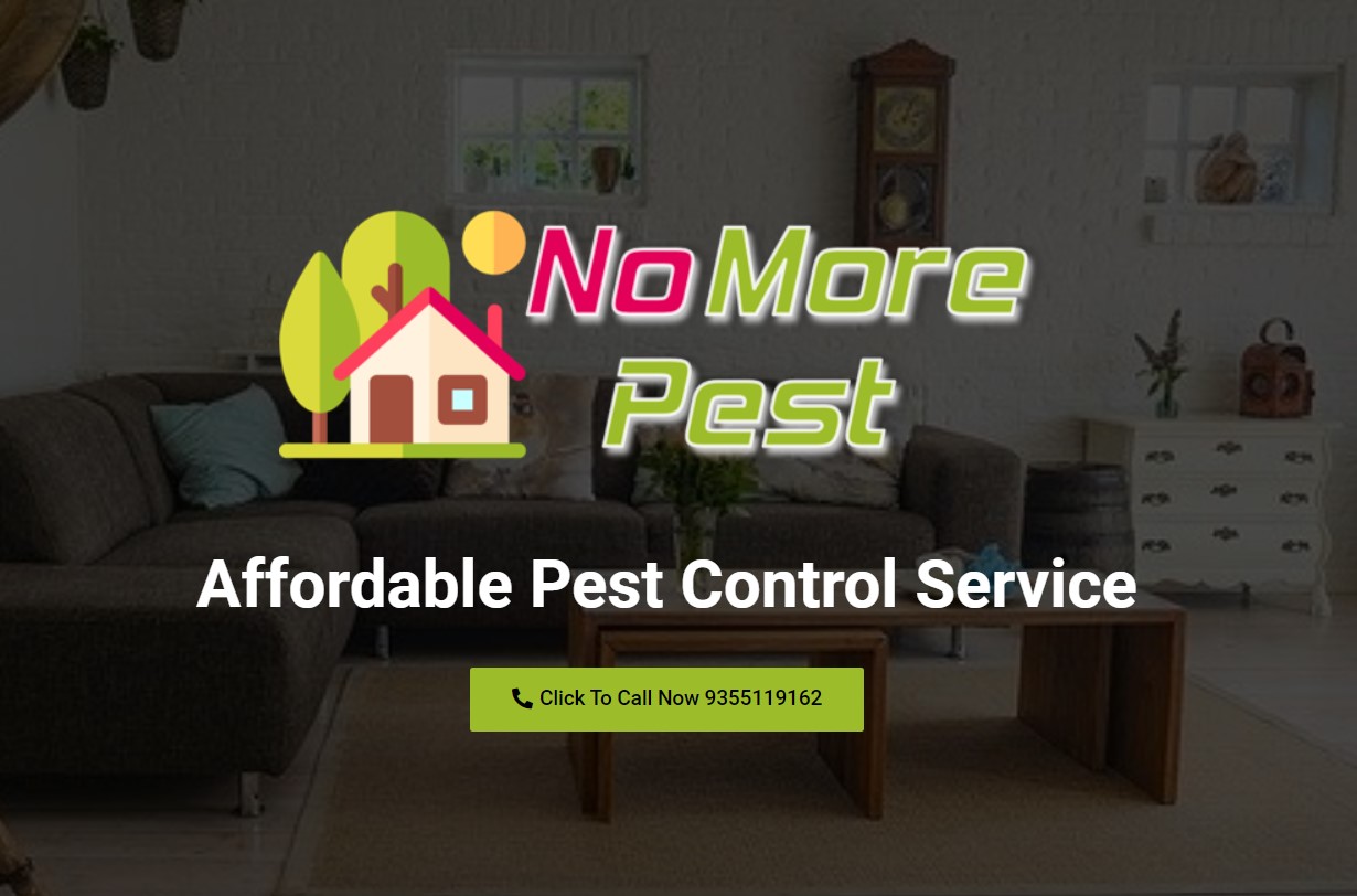 How to Do Pest Control at Home by Yourself NoBroker Forum