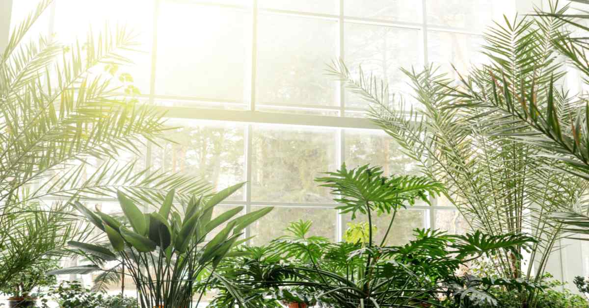 Top 15 Biophilic Design: Design Your Space with Nature