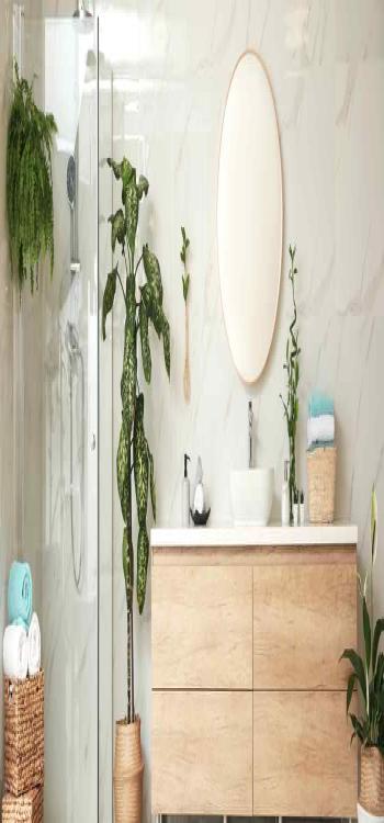 bath shower design