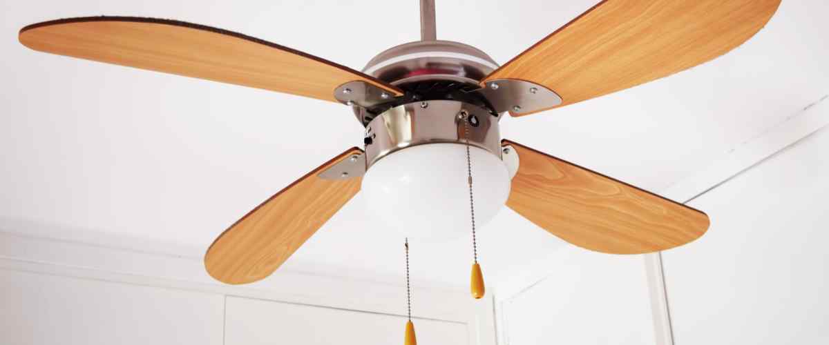 Ceiling Fans with Lights