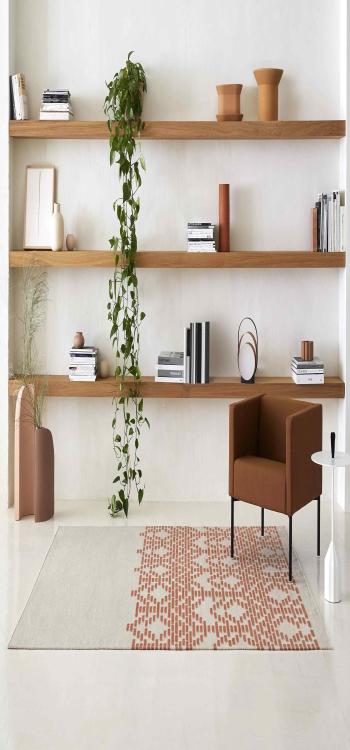 Living Room Rugs