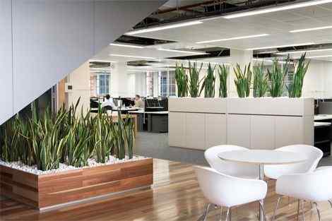Office Interior Designs