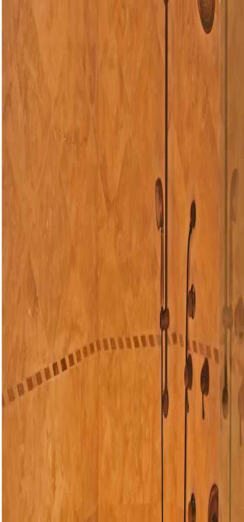 modern bathroom shower designs