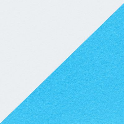Dual Tone House Floor Design