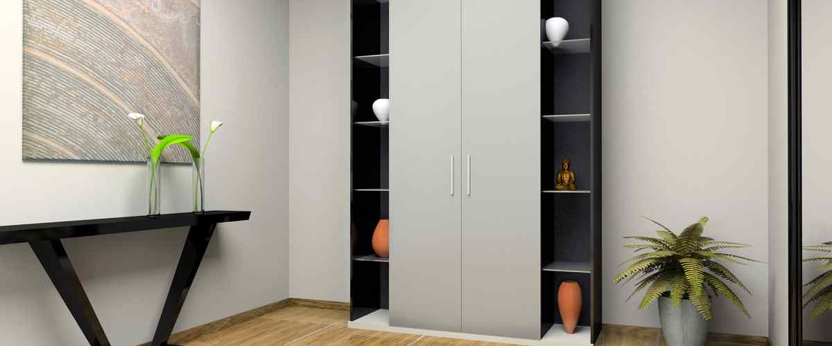 Trendy And Beautiful Cupboard Designs for Hall